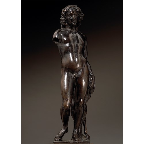 26. Bacchus